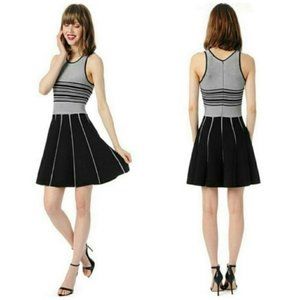 NWOT! Parker Sz XS / 2 Nia Knit Striped Nylon Skater Mini Dress A line Hem